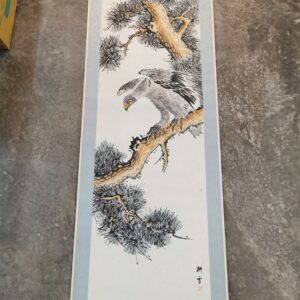 卷轴 [老鹰]