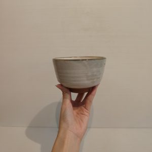 白釉茶碗 [信樂] [紫雲窯]