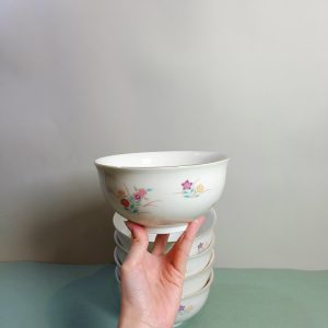 中碗 [有田烧] [西山] [全新/盒装]