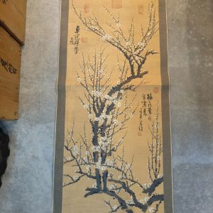 卓冠群芳 [卷轴]