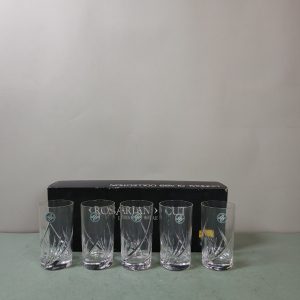 杯 [水晶玻璃] [HOYA] [全新/盒装]