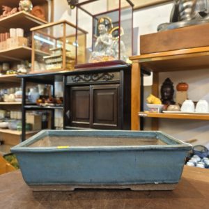 盆栽 [日本紫砂] Bonsai [Japanese Purple Clay]