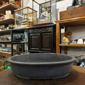大盆栽 [日本紫砂] Large Bonsai Pot [Japanese Purple Clay]